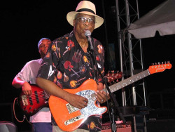 hubert sumlin 4