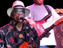 hubert sumlin 5