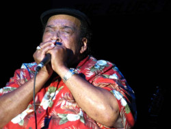 james cotton 6