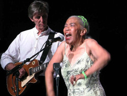 sugar pie disanto  4 