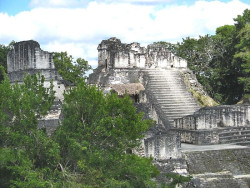 10 palace at the main acropolis of tikal