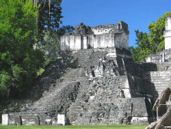 11 mayan temple in tikal in guatemala