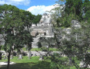 15 part of the main acropolis of tikal