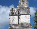 19 top of a pyramid in tikal