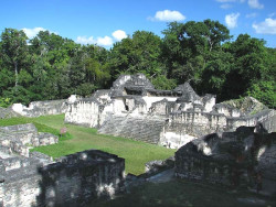 20 eastern section of the main acropolis in mayan tikal