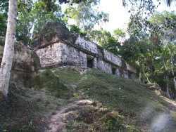 22 tikal archeological site in the guatemalan jungle