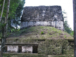 24 partially restored mayan buildings at guatemalas tikal