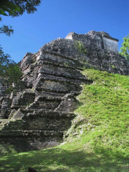 28 maya pyramid partially uncovered at tikal  guatemala
