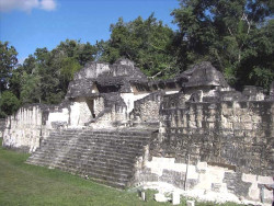 33 steps up to a temple in the mayan ruins of tikal