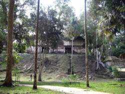 36 small temple in the jungle surrounding tikal