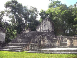44 small temple in ruins at tikal