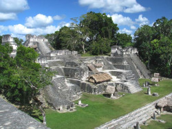 5 view of the main acropolis of tikal