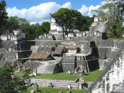 6 main acropolis at tikal up close