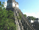 8 major pyramids of the main acropolis in tikal