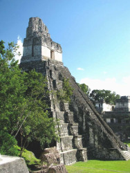 8 major pyramids of the main acropolis in tikal
