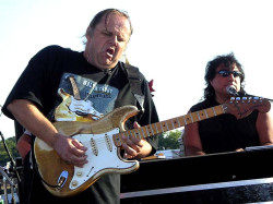 walter trout  3 